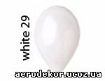 white 29